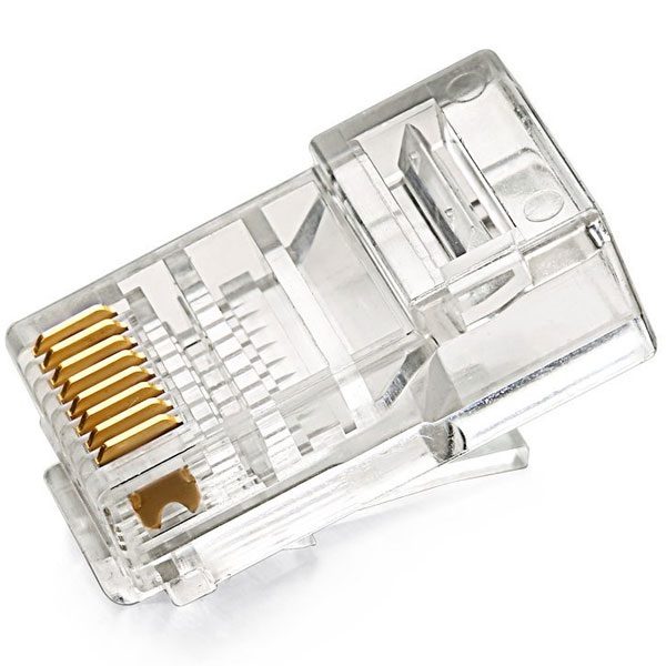 socket cat 6 utp